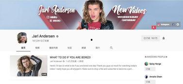 丹麦最新爆料视频大全,揭秘幕后真相与精彩瞬间